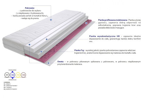 Materac Nola Molet Max Plus 180x240 cm