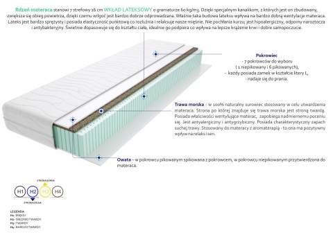 Materac Kenia 115x220 cm